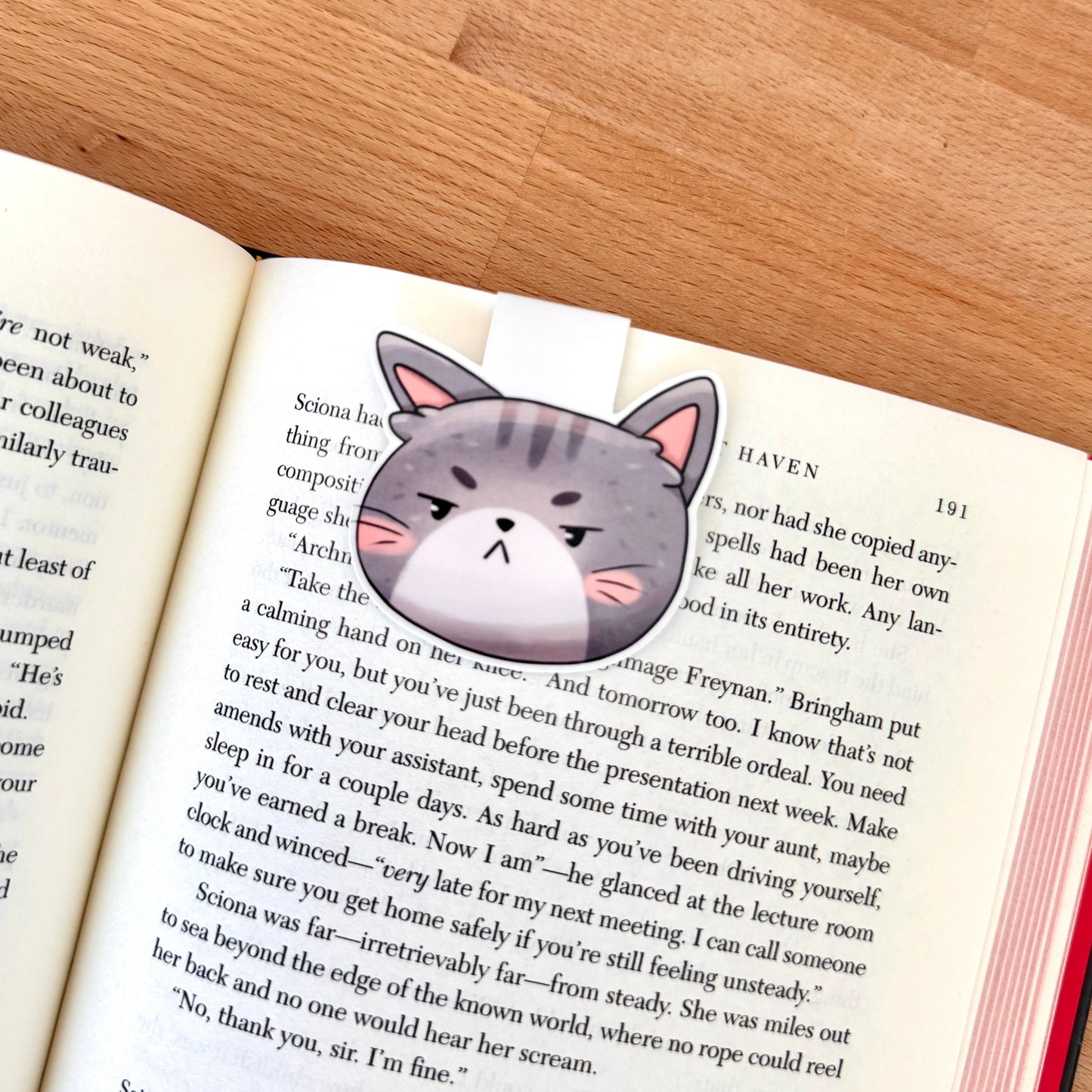 Magnetic Bookmark - Grumpy Grey Cat